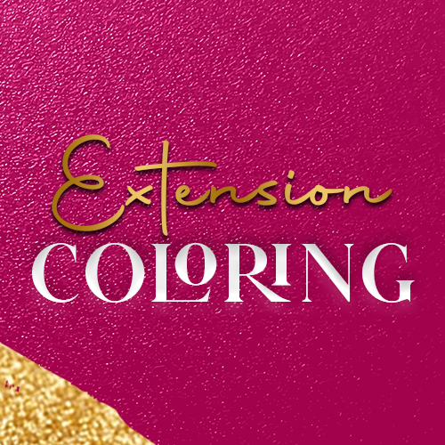 Extension Coloring